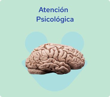 PsycohlogicalAttention